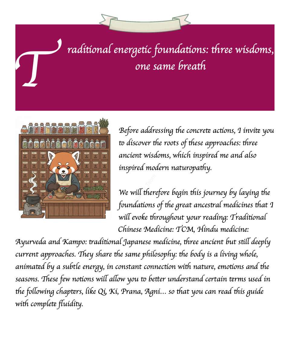 Ebook: The 8 Foundational Pillars of Naturopathy