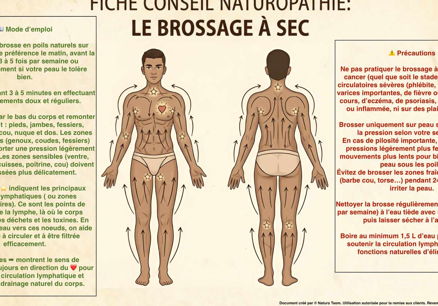 5 Fiches Brossage à Sec du corps et du visage - Licence Pro Praticien - Homme & Femme - Support Pédagogique Naturopathie - PDF Haute Définition