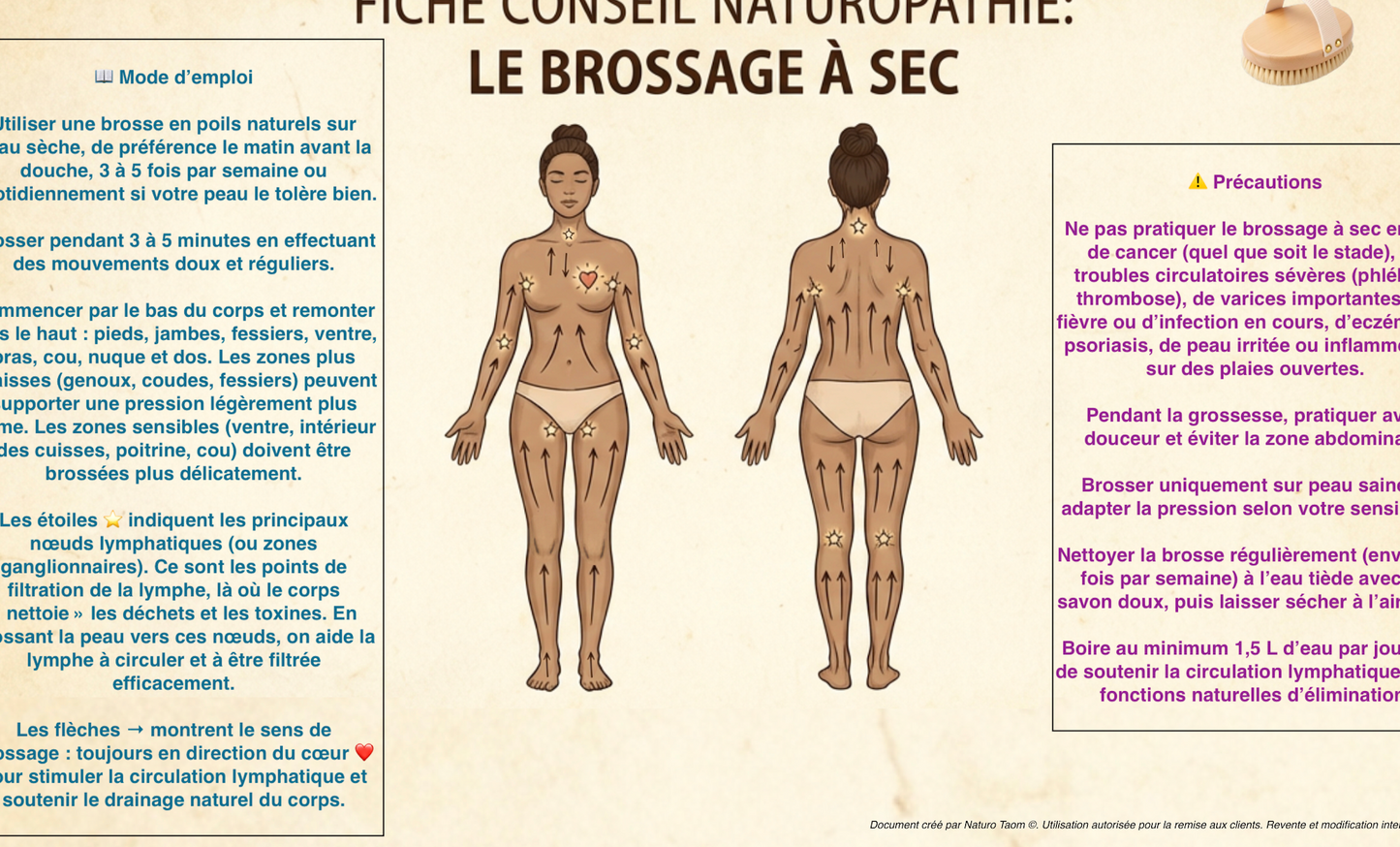 5 Fiches Brossage à Sec du corps et du visage - Licence Pro Praticien - Homme & Femme - Support Pédagogique Naturopathie - PDF Haute Définition