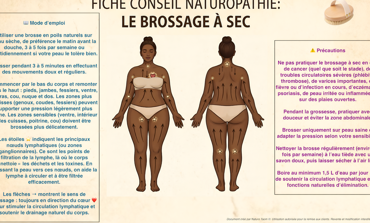 5 Fiches Brossage à Sec du corps et du visage - Licence Pro Praticien - Homme & Femme - Support Pédagogique Naturopathie - PDF Haute Définition