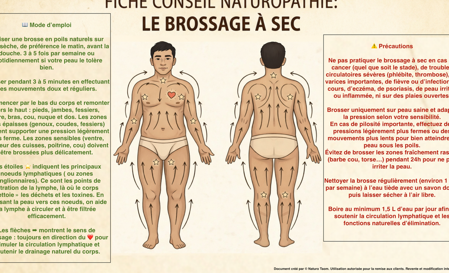 5 Fiches Brossage à Sec du corps et du visage - Licence Pro Praticien - Homme & Femme - Support Pédagogique Naturopathie - PDF Haute Définition