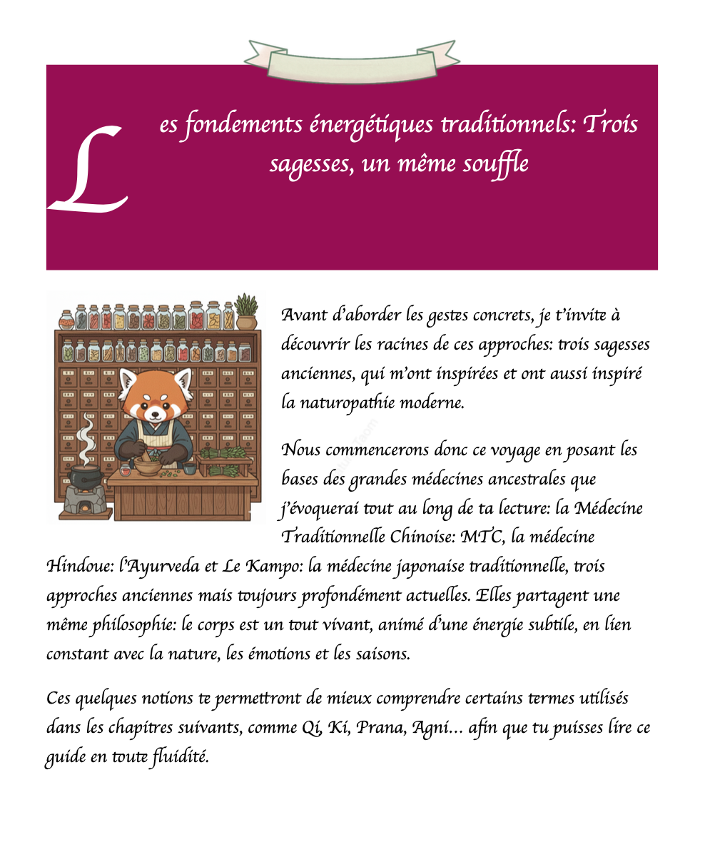 🌿 Ebook:  Les 8 Piliers Essentiels de la Naturopathie