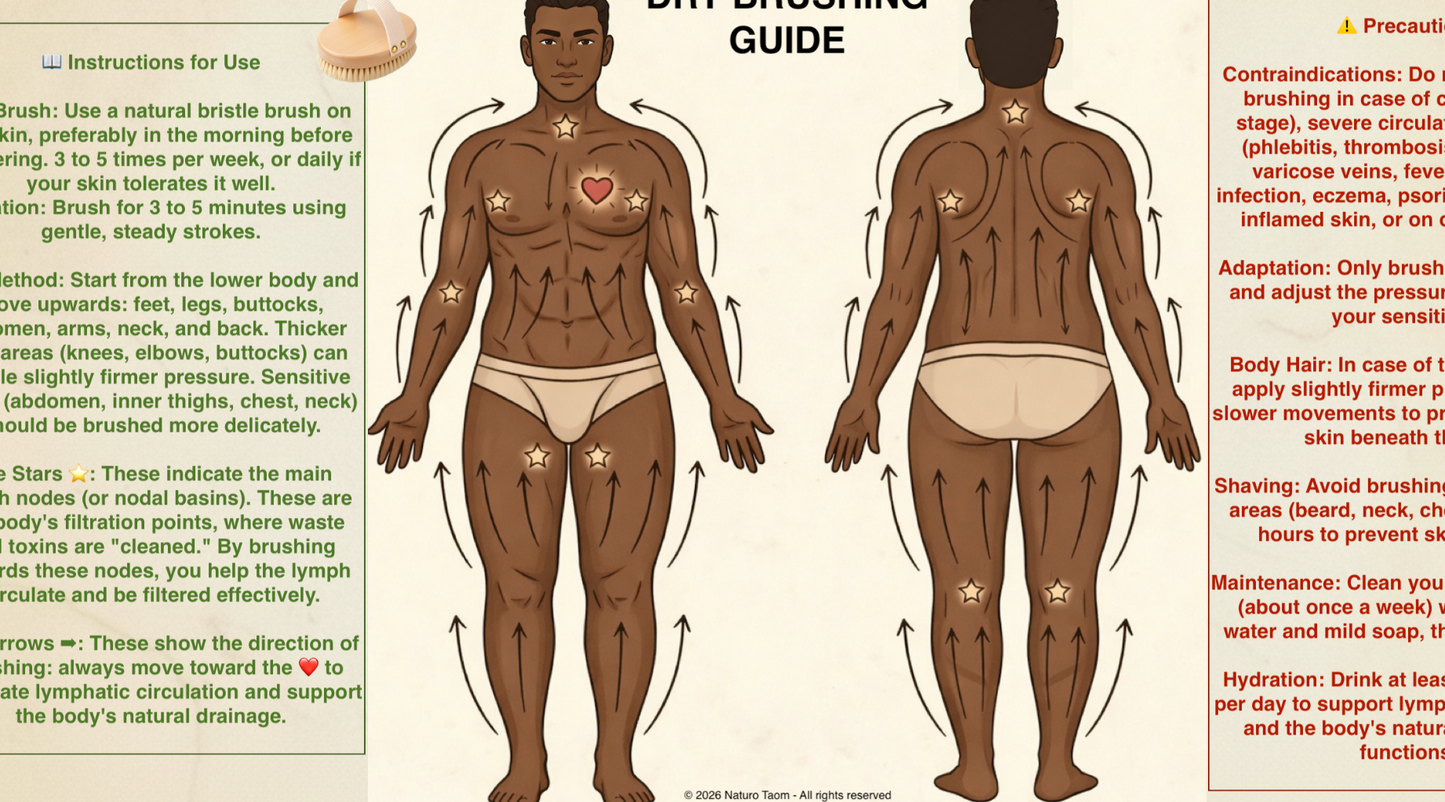 6 Dry Brushing Guides (Body/ Face) – Male & Female Illustrations – Lymphatic Drainage/ Naturopathy – PDF – Naturo Taom – Personal Use