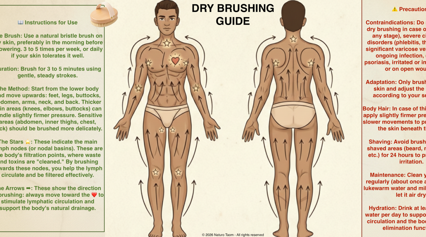 6 Dry Brushing Guides (Body/ Face) – Male & Female Illustrations – Lymphatic Drainage/ Naturopathy – PDF – Naturo Taom – Personal Use