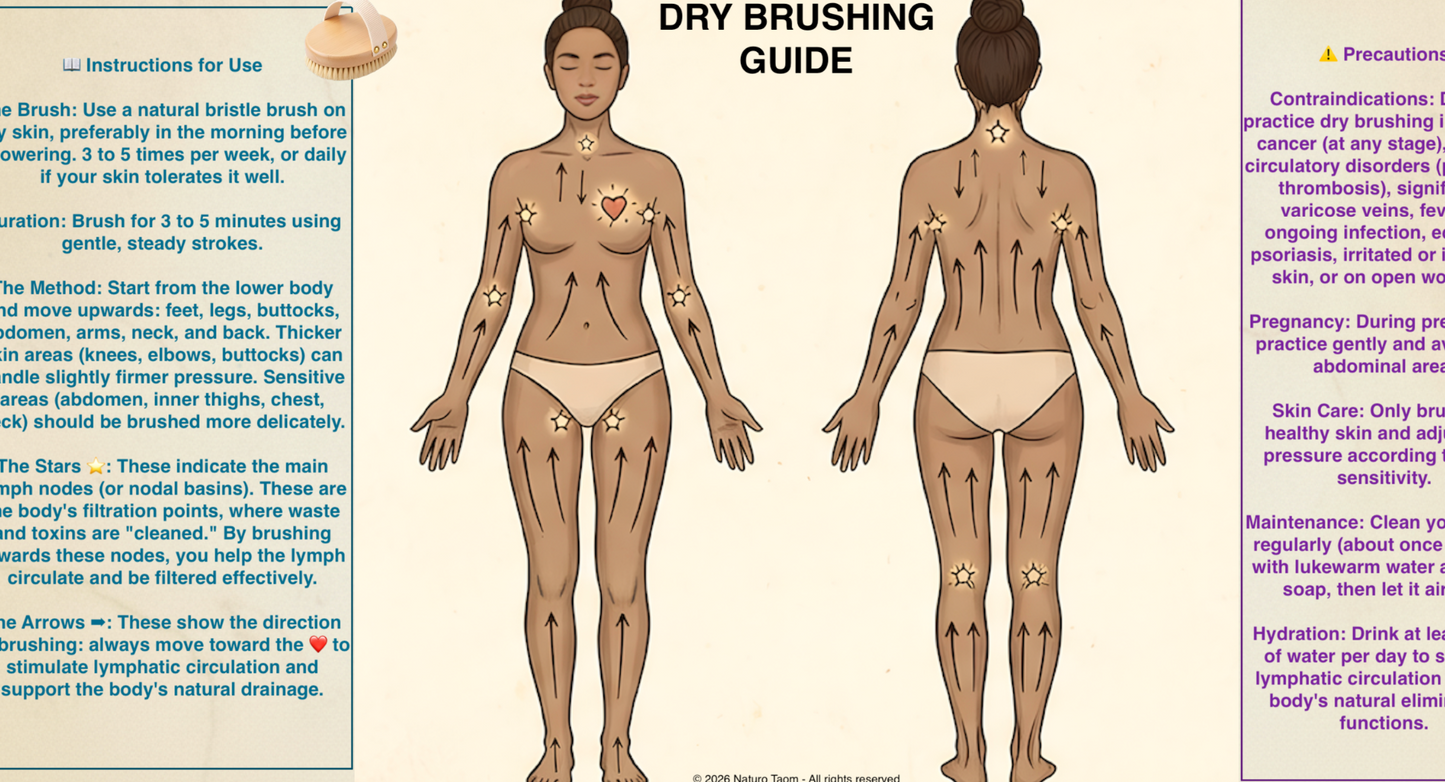6 Dry Brushing Guides (Body/ Face) – Male & Female Illustrations – Lymphatic Drainage/ Naturopathy – PDF – Naturo Taom – Personal Use