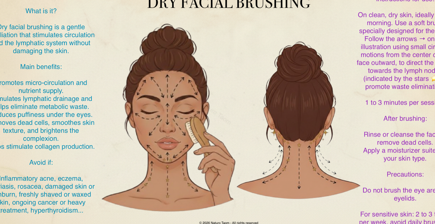 6 Dry Brushing Guides (Body/ Face) – Male & Female Illustrations – Lymphatic Drainage/ Naturopathy – PDF – Naturo Taom – Personal Use