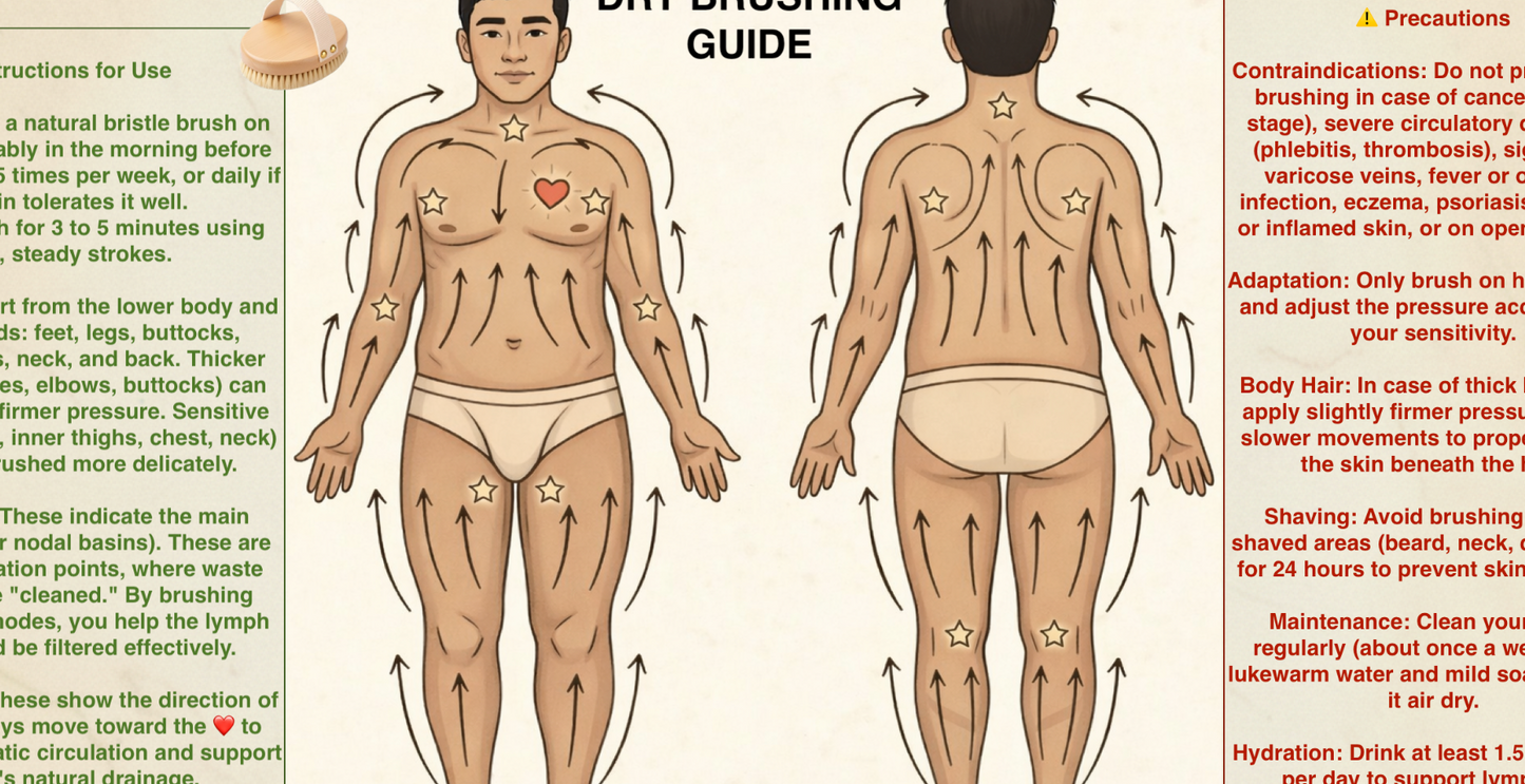 6 Dry Brushing Guides (Body/ Face) – Male & Female Illustrations – Lymphatic Drainage/ Naturopathy – PDF – Naturo Taom – Personal Use